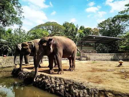 Keluarga menikmati liburan panjang bersama anak di Yogyakarta